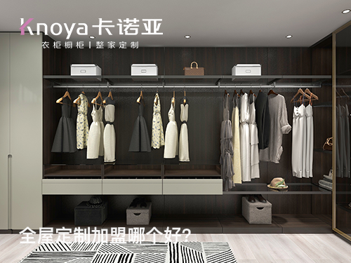 2023年遼寧全屋定制加盟選什么品牌好? 2023年遼寧全屋定制加盟選什么品牌好?